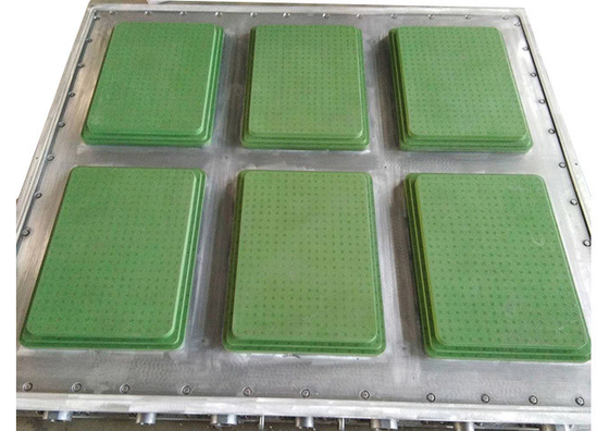 ISO9001 EPS van de vissendoos Vorm voor Vers Fruitgroente Verpakking