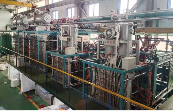 Automatische EPS vacuümvormgietmachine met PLC-besturing voor visdoos